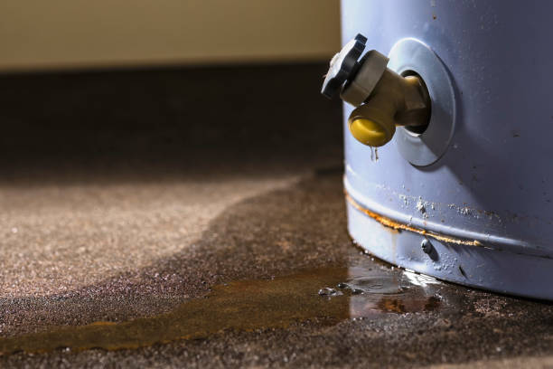 Best Carpet water damage restoration  in Springfield, GA