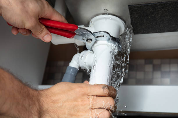 Best Flood damage cleanup  in Springfield, GA