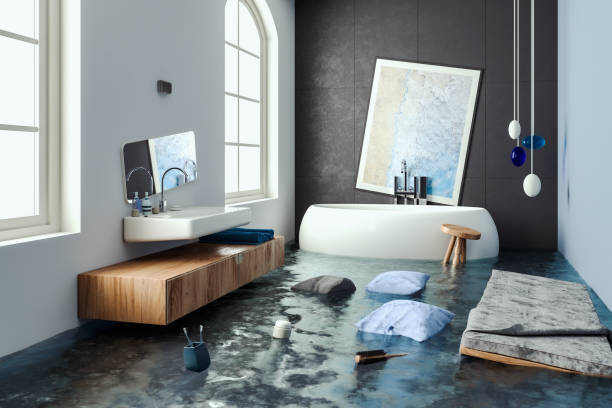 Best Water damage cleanup near me  in Springfield, GA