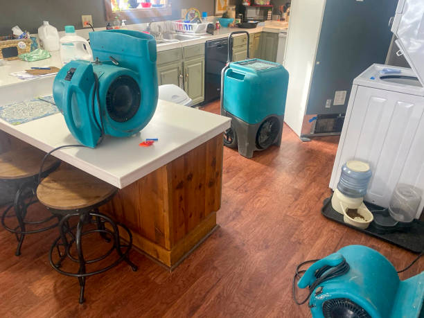 Best Water damage restoration near me  in Springfield, GA
