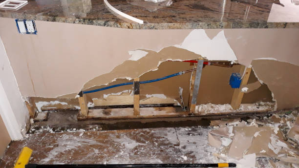 Best Water damage restoration near me  in Springfield, GA