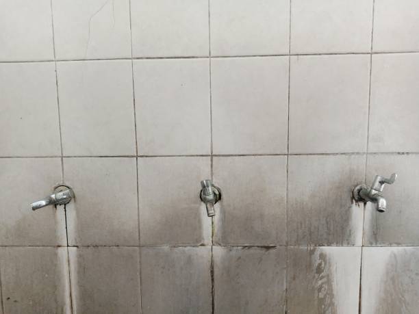 Best 24-hour water damage restoration  in Springfield, GA
