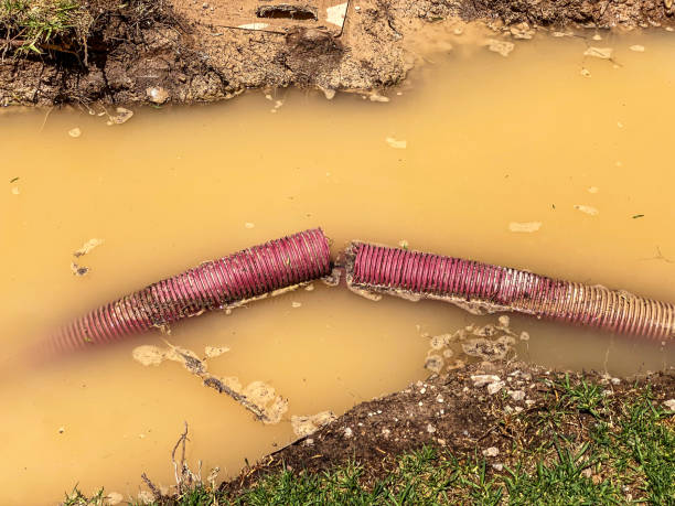 Best Water damage restoration insurance claims  in Springfield, GA